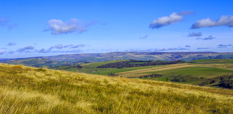 Brown Knoll